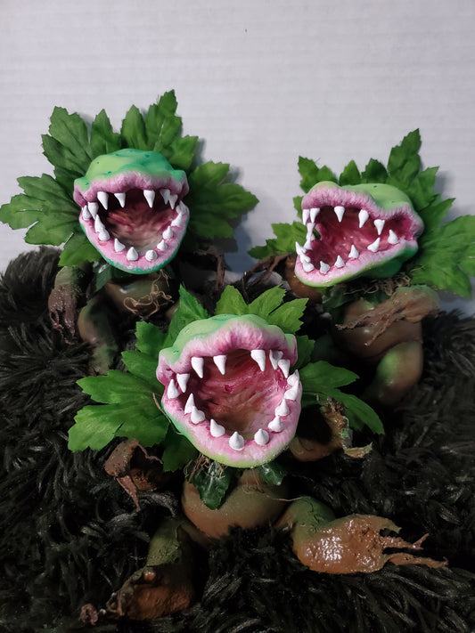 Baby Man-Eater plant